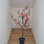 Japonski Mitako 度假居 *