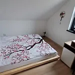 Japonski Mitako Nobliny