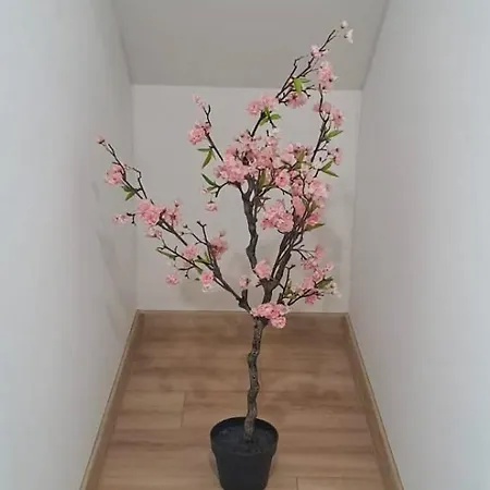 Japonski Mitako 別荘 *